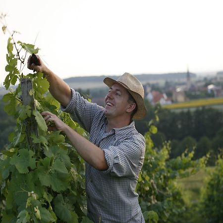 Worners Schloss Weingut & Wellness-Hotel Prichsenstadt Eksteriør bilde